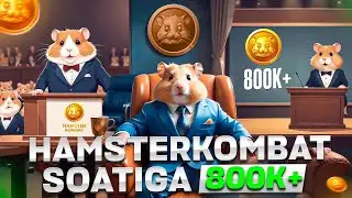 HAMSTER KOMBAT TOP KARTALAR // SOATIGA 800K+