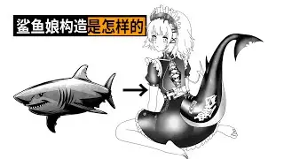 鲨鱼娘的身体构造是怎样的，有多强？