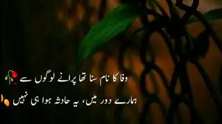 Wafa ka Naam suna tha🥀 //Urdu shayri 🔥 😔 Whatsapp status