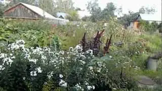 1 СЕНТЯБРЯ 2012г
