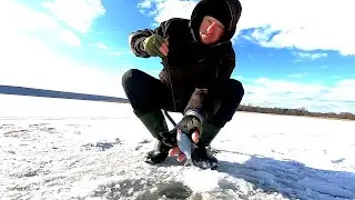 ЛУНКА РОЗДАЄ ПЛОТВУ!НЕ ВСТИГАЮ НАСАДЖУВАТИ МОТИЛЯ!Риболовля на льоду на мормишку в лютому 2024