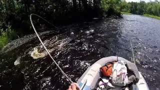 Smallmouth on the Fly on the St Croix River