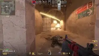 Bro got burned alive LMAO I Insane Molotov Kill XD I#csgo #csgo