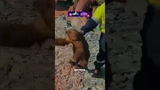 Ушёл красиво 😎