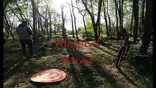 MINI 3 Pro - Magical Forest - 4k #dji #drone #mini3pro #4k #forest #magicalforest