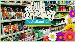 NEW IN POUNDLAND 