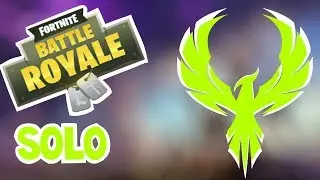 Fortnite Battle Royale Solo