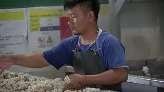 How natural rubber is made - loud noise alert