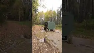 Бибика