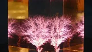 Electrical treeing | Wikipedia audio article