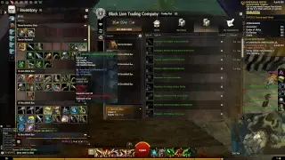 Guild Wars 2 Newb Play