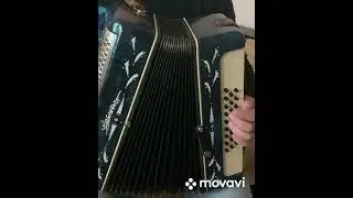 Гармонь весна!!