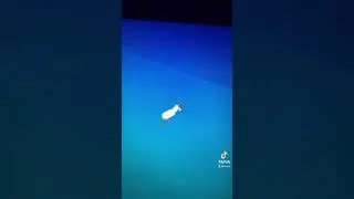 ИГРА, В КОТОРОЙ ТЫ БУДЕШЬ СЛЕДИТЬ ЗА ГУСЕМ!!! 