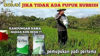 Cara Memilih Pupuk, Jika Tidak ada Pupuk Subsidi || Pupuk Untuk Padi Tahap Awal