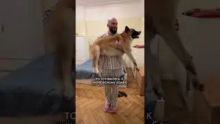 Ну что, кто тут расхотел заводить собаку?