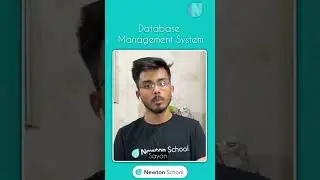 Database Management System ! | #shorts | Newton School