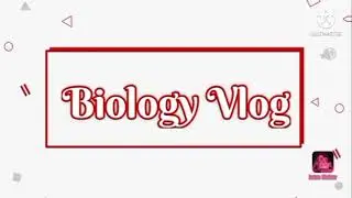 [VLOG] Plant Morphology