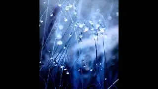 Gray Monday- Relikk