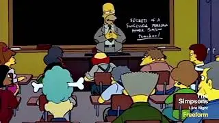 The Simpsons Late Night Screenbug