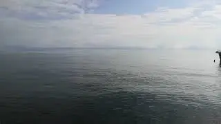 29 октября, Алушта, гладь моря