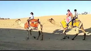 Jaisalmer, Rajasthan Tour. @GyanBikashFoundation #tranding #camelride #jaisalmer #rajasthan #new