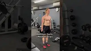 Different Hand Positions In Bicep Curls (KNOW THEM ALL!) 
