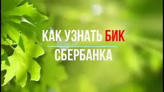 Как узнать БИК Сбербанка - инструкция
