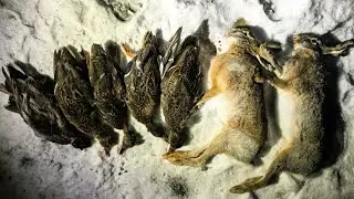 Поохотились на зайца и на утку. Следов море, зайца много. Ставропольский край. 26 декабря 2025г