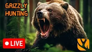 HUNTED BY GRIZZLYS!!! hunting bears before the reset