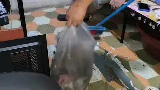 WOW GRABE ANG DAMING DIAMOND DITO