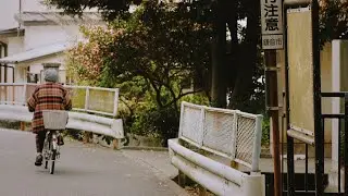 Japanese days