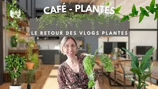 Café-plantes ! Prêts pour une dose de plantes vertes ? 🪴