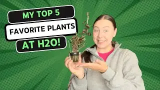 My TOP 5 Favorite Plants at H2O!