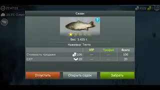 Как поймать Сазана. My fishing world