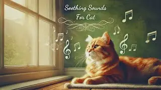 1 Hour of Soothing Sounds to Comfort Cats: Calming Music for Separation Anxiety