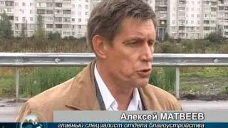 Незаконные Свалки