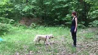 Реакция на ошибку