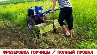 ФРЕЗЕРОВКА ГОРЧИЦЫ МОТОБЛОКОМ ПОЛНЫЙ ПРОВАЛ / ЧТО-ТО ПОШЛО НЕ ТАК