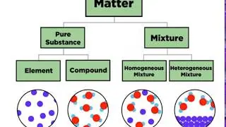 Organization Of Matter