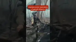 Курская Белгородская область обстановка