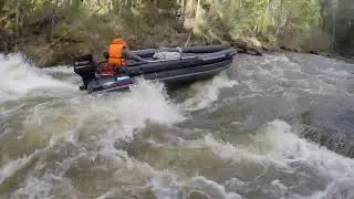 лодка стриж везет дальше чем другие