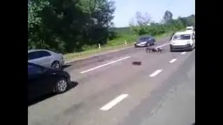 ДТП В Решетиловке  трасса Киев -Харьков