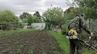 Приехал в отпуск, покосил траву, навел порядок на участке