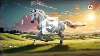 Новые заставки "Пятый канал" (с 26.07.2024)