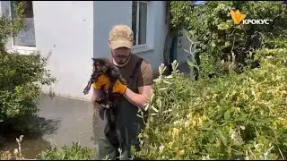 Новини Білої Церкви: Наші на Херсонщині