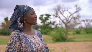L’agriculture climato-intelligente : une aubaine pour les fermiers sénégalais