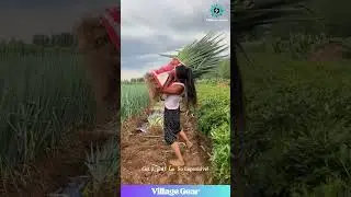 This Farm Girl is a BEAST! 🏋️‍♀️ Carrying Onions Like a Boss! 