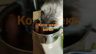 кото-кекс