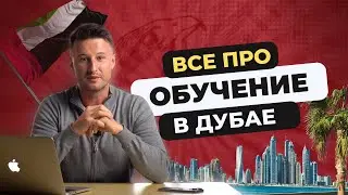 Секреты обучения в Эмиратах: Стоимость, Стипендии, Работа