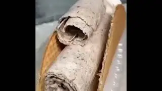 ICECREAM  МОРОЖЕНОЕ
